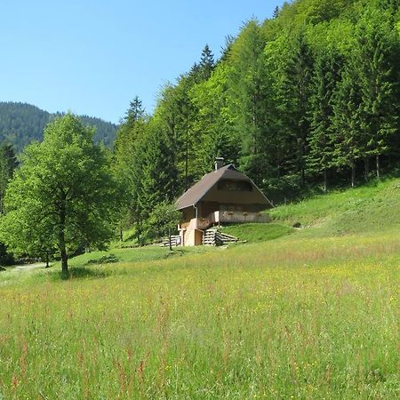 Apartmaji Brloznica Pod Veliko Planino Luce Номер фото
