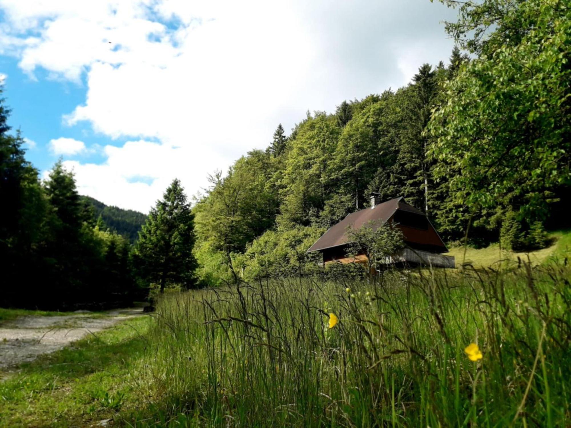 Apartmaji Brloznica Pod Veliko Planino Luce Екстер'єр фото